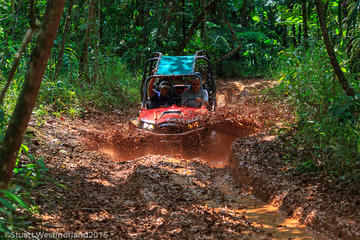 Off-Road Small-Group Jungle Driving Adventure with Lunch