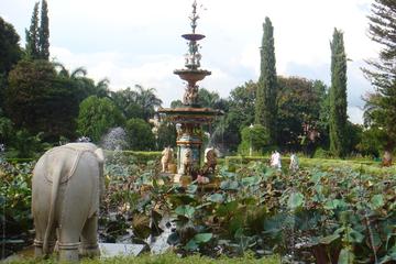 Garden of the Maidens (Sahelion Ki Bari) Admission Ticket with Optional Transfer