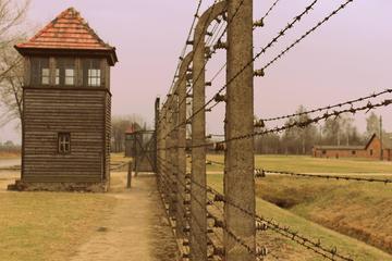 Full-Day Auschwitz Tour from Lodz