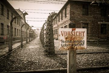 Krakow and Auschwitz 1 Day Tour from Lodz