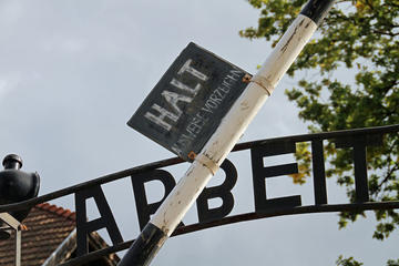 Private 1 Day Tour to Auschwitz and Krakow from Warsaw