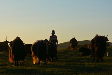 12-Day Tibet Nomad Adventure