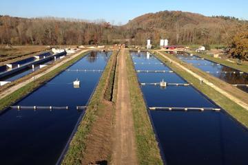 Sturgeon Fish-Farm Visit and Caviar Master Class Tasting in Neuvic