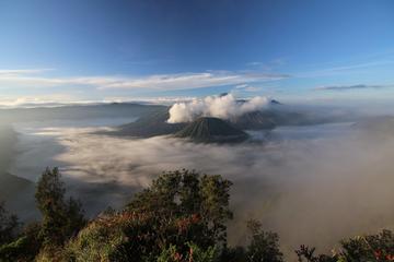 Bromo Sunrise Direct Tours