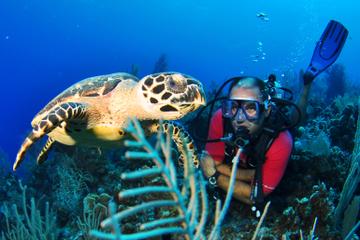 Grand Cayman SCUBA Diving