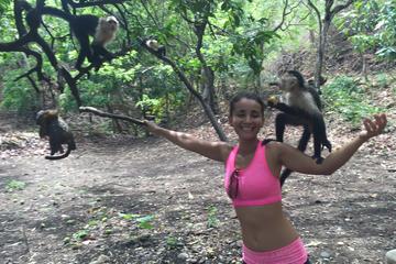 Monkey Tour Adventure