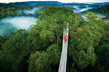 Monteverde Cloud Forest
