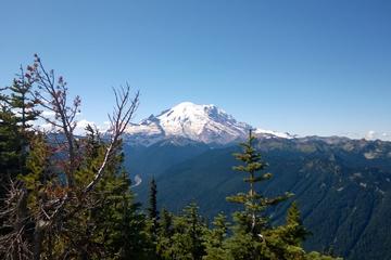 Mt Rainier Seaplane Tour Departing Renton or Wiley Base