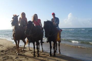 Beach and Mountain Horseback Riding Vacation