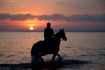 Puerto Plata Sunset Beach Horseback Riding with Dinner