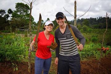 30-Day Volunteering at an Organic Farm in the Tenorio National Park