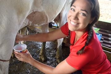Rio Celeste Cultural & Milking Tour