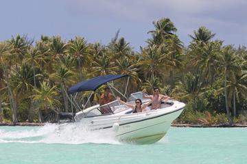 Private Bora Bora Snorkeling Cruise with Optional BBQ Lunch on the Beach