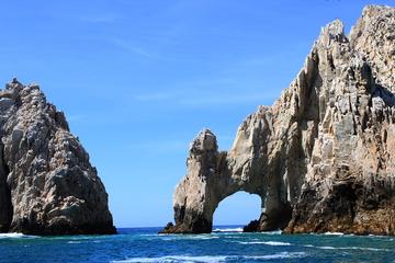 Snorkeling at Pelican Rock