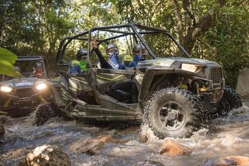 All Terrain Safari