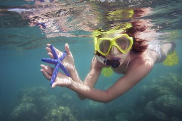 Marietas Islands: Snorkel Cruise from Puerto Vallarta