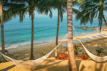 Puerto Vallarta Combo Tour: Horseback Riding and Beach Break