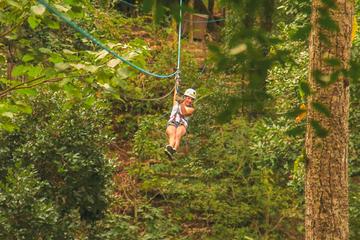 Puerto Vallarta Combo Tour: UTV, Rappelling and Zipline Canopy Tour