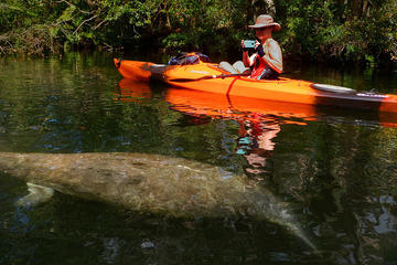 Day Trip Self-Guided Kayaking Manatee and Dolphin Tour near Cape Canaveral, Florida 