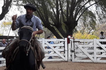 Gaucho Experience with Optional Local Cooking Class and Overnight Stay