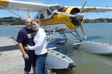Private Romantic Sunset Champagne Seaplane Tour over San Francisco
