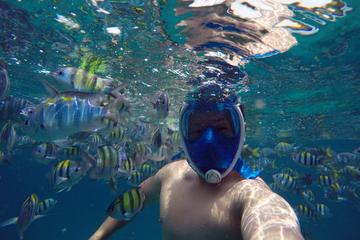 Premium Day Trip to Phi Phi Island with Private Land Transfer