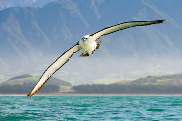 7-Day South Island Photography Tour from Invercargill to Christchurch