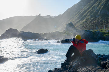 Private Shore Excursion: Wellington Photography Tour
