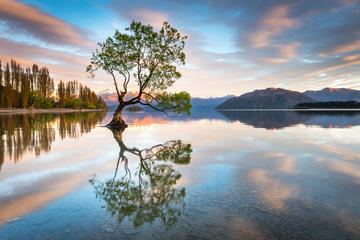 Private Wanaka Photography Tour - 1 Day
