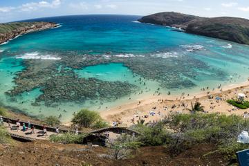 Oahu Shore Excursion: Hanauma Bay Snorkeling
