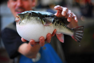Adventurous Private Japanese Food Tour