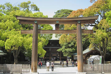 Understanding Japanese Culture Mythology and Lifestyle Through Study of Shinto