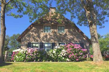 Private Tour: Giethoorn customizable tour
