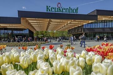 Private Tour: Keukenhof Gardens, Windmills and Delft from Rotterdam
