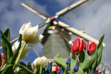 Small Group Tour to Keukenhof Dutch Countryside
