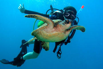 Scuba Diving for Beginners on the Leeward Coast