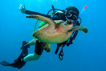 Scuba Diving for Certified 2-tank on the Leeward Coast