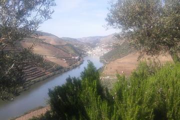 Douro Valley Premium Private Day Trip