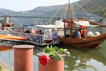 Private Douro Wineries and Vineyards from Porto