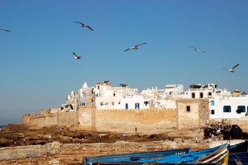 Full-Day Private Tour to Essaouira from Marrakech