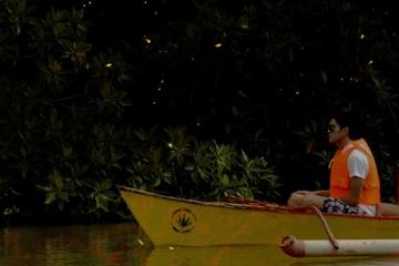 Firefly Watching in Puerto Princesa
