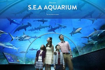 SEA Aquarium Singapore (One Day Pass - eTicket)