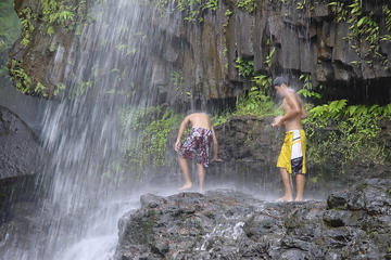 Kohala Waterfalls Small Group Adventure Tour