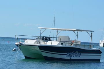 Full-Day St Maarten Catamaran Charter