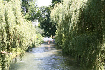 Munich Half-Day City and English Garden Bike Tour