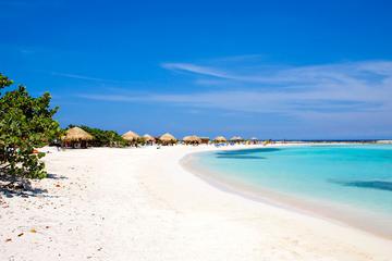 Montego Bay Day Trip