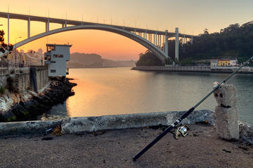 3-Hour Porto Bike Tour