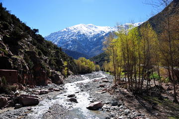 Ourika Valley and Atlas Mountain Day Tour from Marrakech
