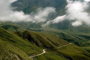 Full-day Cachi and Los Cardones National Park from Salta