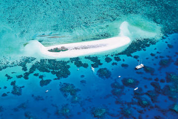 Michaelmas Cay Dive and Snorkel Cruise from Cairns